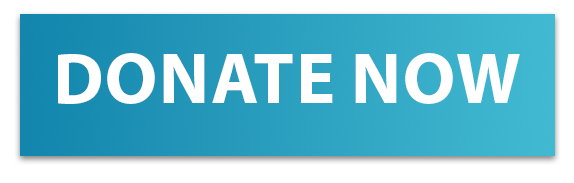 donate-now-button-giving-tuesday